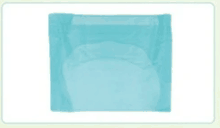 Light Blue Wrapper