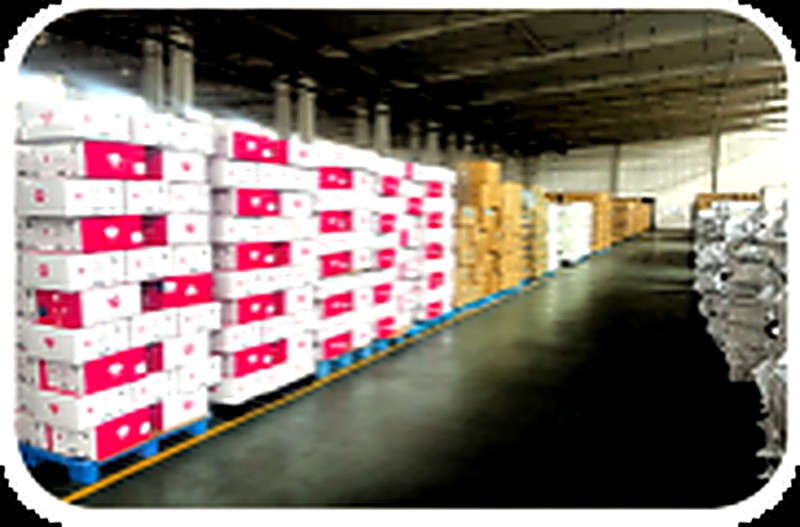 Packaging ready for shipment