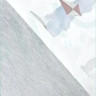 PE Lamination Back Sheet (Breathable)