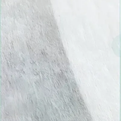 PE Lamination Back Sheet (Standard)