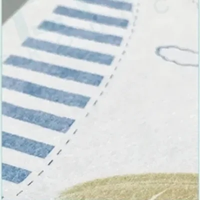 PE Lamination Back Sheet (Ultra-Thin)