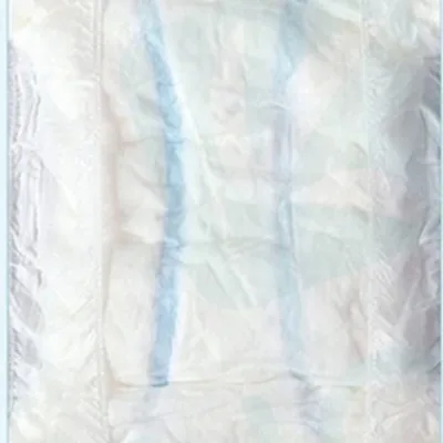 Anion Deodorant Chip