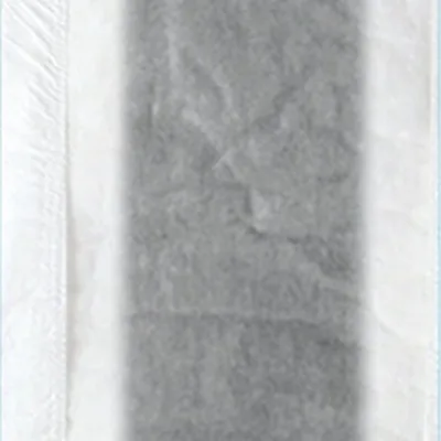 Bamboo Charcoal Chip